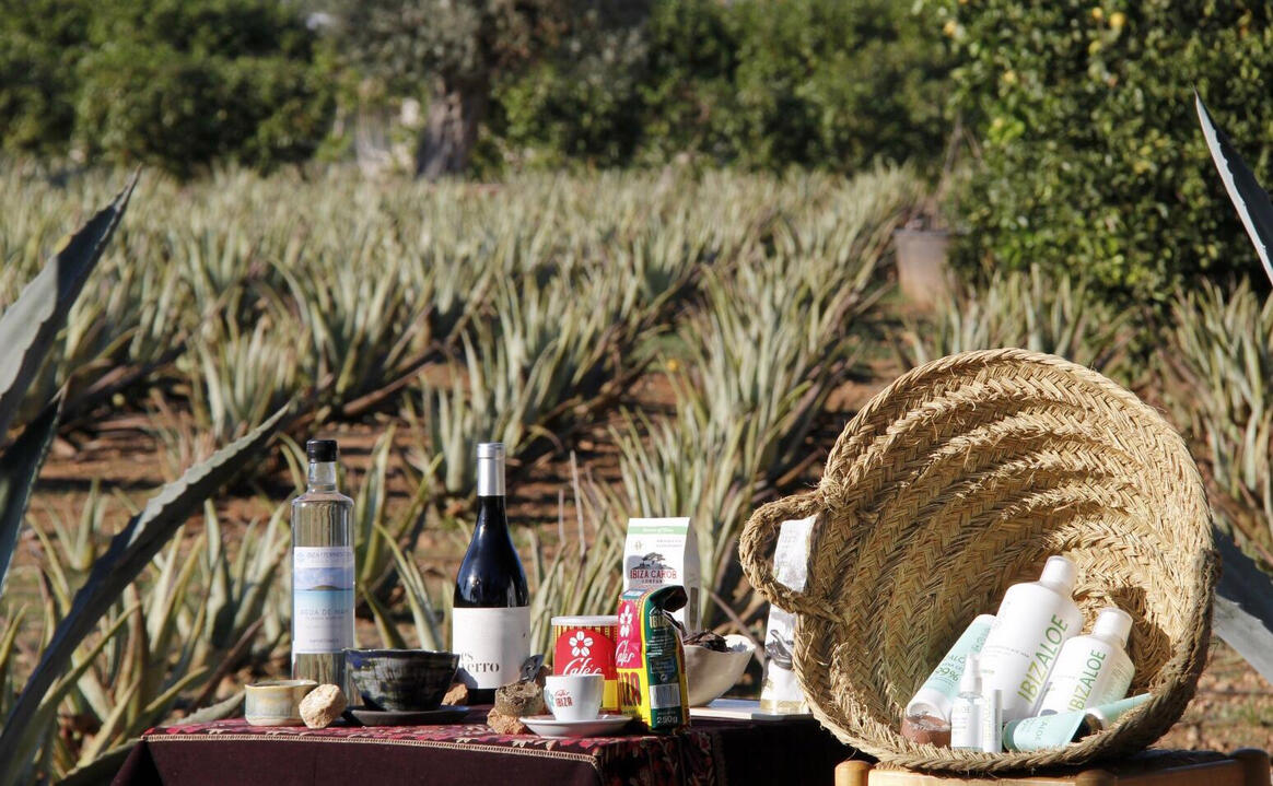 Taller Champús Sólidos Taller Champús Sólidos