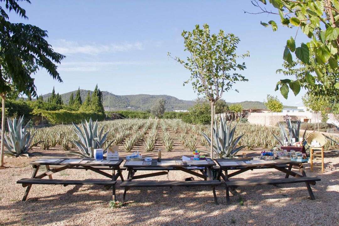 Taller bálsamos labiales Taller bálsamos labiales